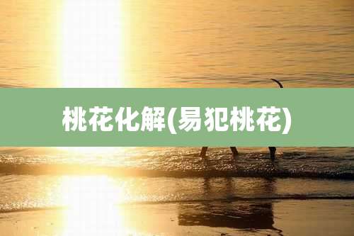 桃花化解(易犯桃花)