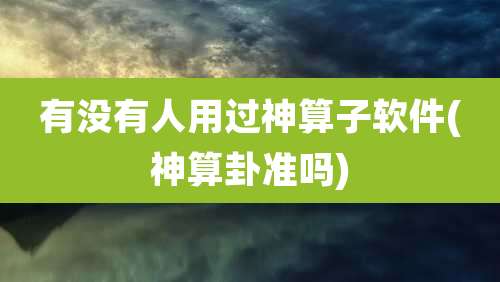 有没有人用过神算子软件(神算卦准吗)