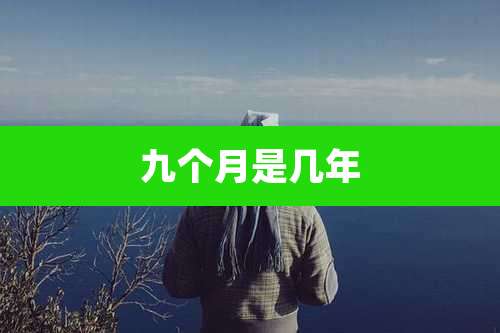 九个月是几年