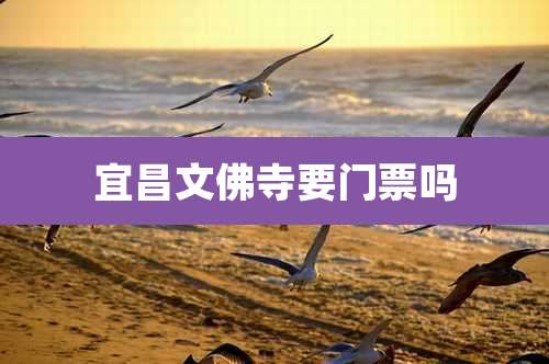 宜昌文佛寺要门票吗