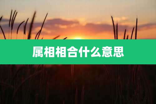 属相相合什么意思