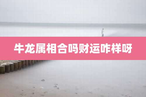 牛龙属相合吗财运咋样呀