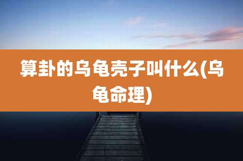 算卦的乌龟壳子叫什么(乌龟命理)