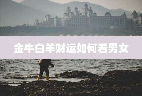 金牛白羊财运如何看男女