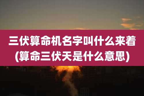 三伏算命机名字叫什么来着(算命三伏天是什么意思)