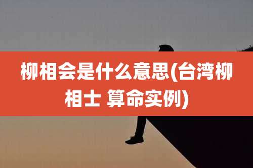 柳相会是什么意思(台湾柳相士 算命实例)