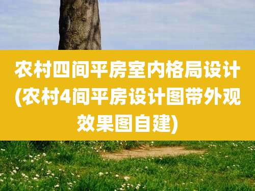 农村四间平房室内格局设计(农村4间平房设计图带外观效果图自建)