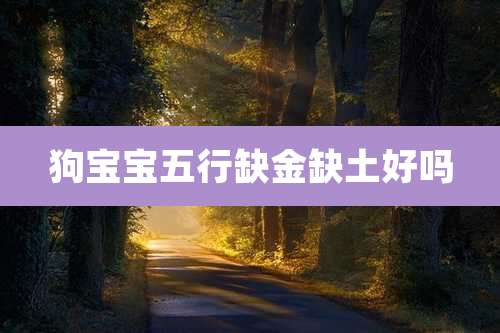 狗宝宝五行缺金缺土好吗