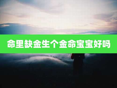 命里缺金生个金命宝宝好吗