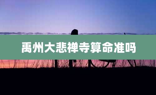 禹州大悲禅寺算命准吗