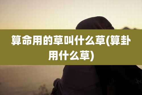 算命用的草叫什么草(算卦用什么草)