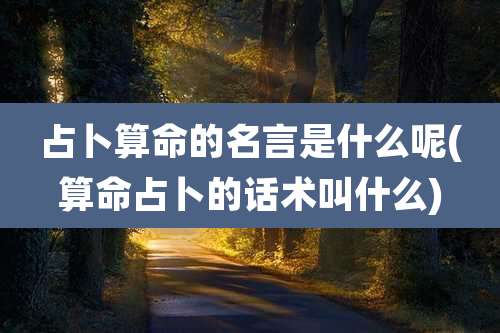 占卜算命的名言是什么呢(算命占卜的话术叫什么)