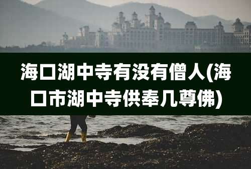 海口湖中寺有没有僧人(海口市湖中寺供奉几尊佛)