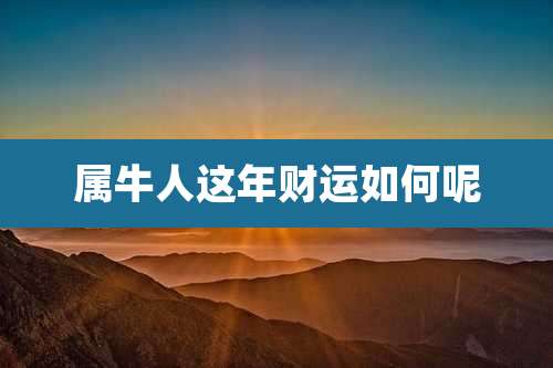 属牛人这年财运如何呢