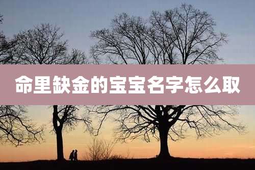 命里缺金的宝宝名字怎么取