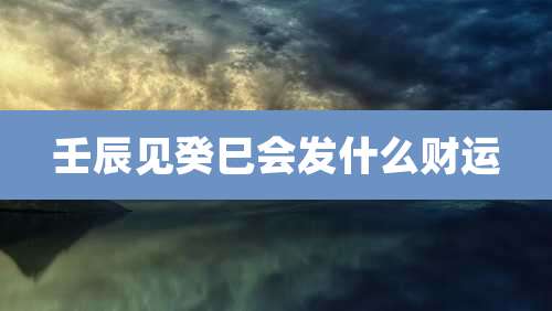 壬辰见癸巳会发什么财运