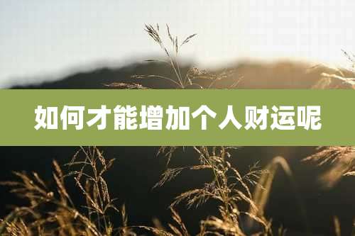 如何才能增加个人财运呢