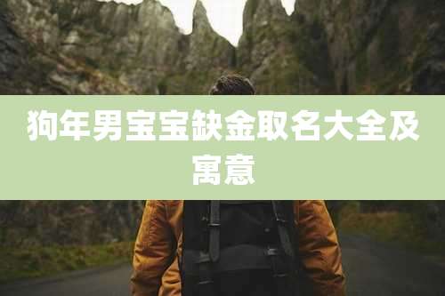 狗年男宝宝缺金取名大全及寓意