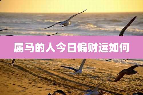 属马的人今日偏财运如何