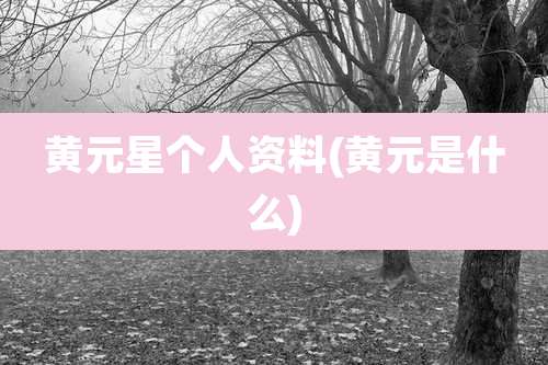 黄元星个人资料(黄元是什么)