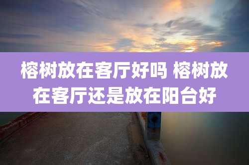 榕树放在客厅好吗 榕树放在客厅还是放在阳台好