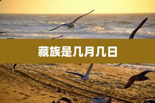 藏族是几月几日