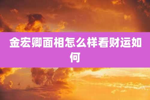 金宏卿面相怎么样看财运如何