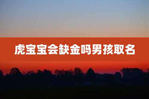 虎宝宝会缺金吗男孩取名