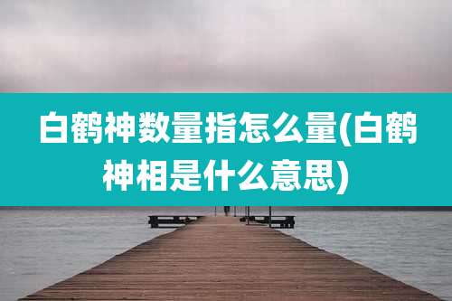白鹤神数量指怎么量(白鹤神相是什么意思)