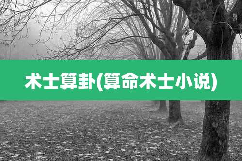 术士算卦(算命术士小说)