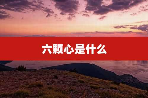 六颗心是什么
