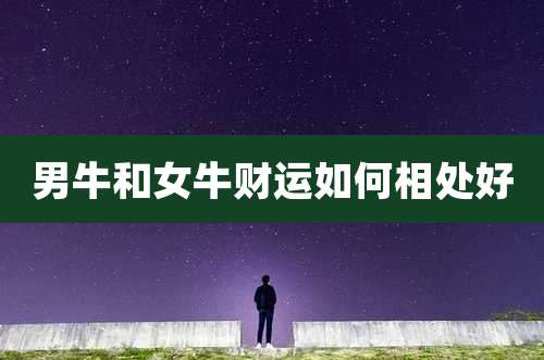 男牛和女牛财运如何相处好