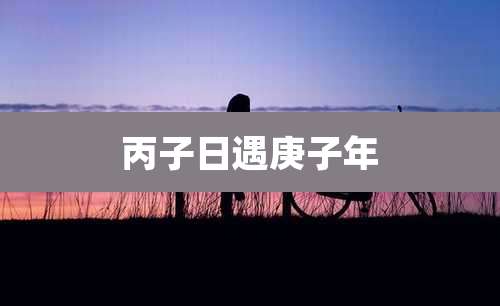 丙子日遇庚子年