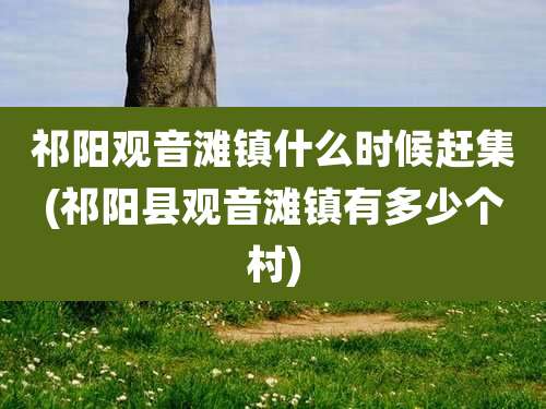 祁阳观音滩镇什么时候赶集(祁阳县观音滩镇有多少个村)