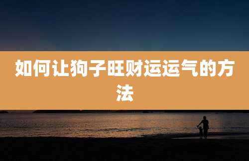 如何让狗子旺财运运气的方法