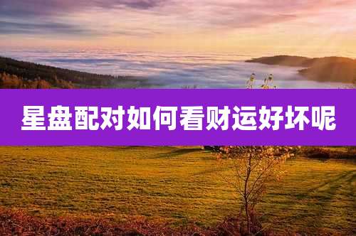 星盘配对如何看财运好坏呢