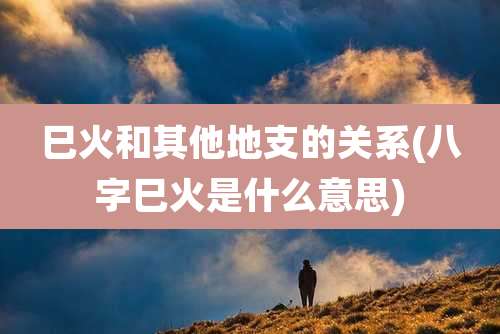 巳火和其他地支的关系(八字巳火是什么意思)