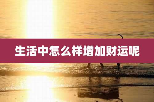 生活中怎么样增加财运呢