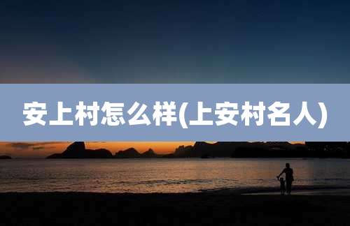 安上村怎么样(上安村名人)