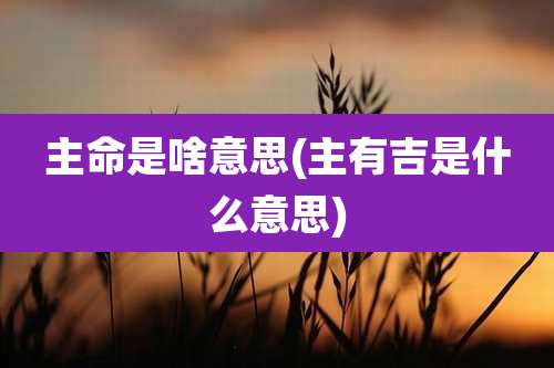 主命是啥意思(主有吉是什么意思)