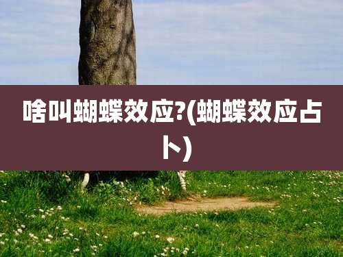 啥叫蝴蝶效应?(蝴蝶效应占卜)