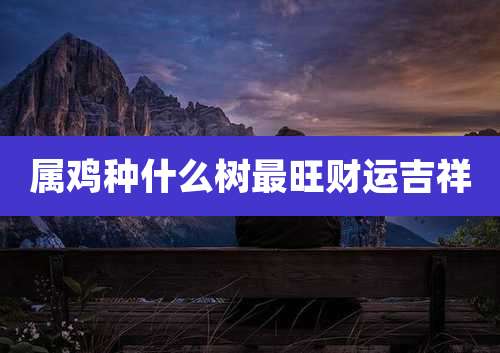 属鸡种什么树最旺财运吉祥