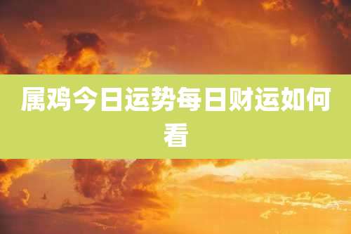 属鸡今日运势每日财运如何看