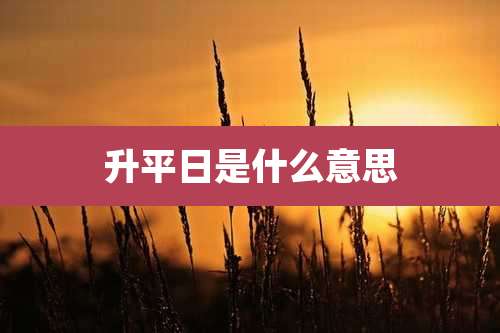 升平日是什么意思