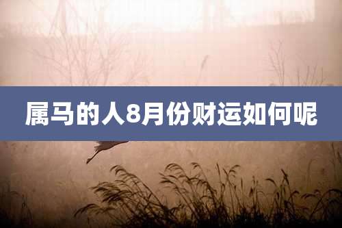 属马的人8月份财运如何呢
