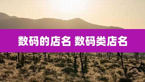 数码的店名 数码类店名