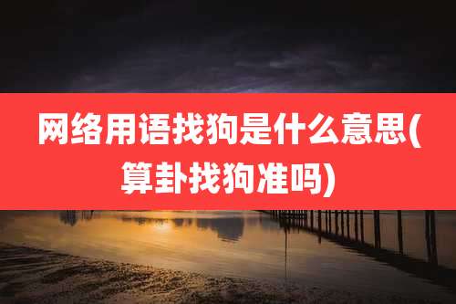 网络用语找狗是什么意思(算卦找狗准吗)