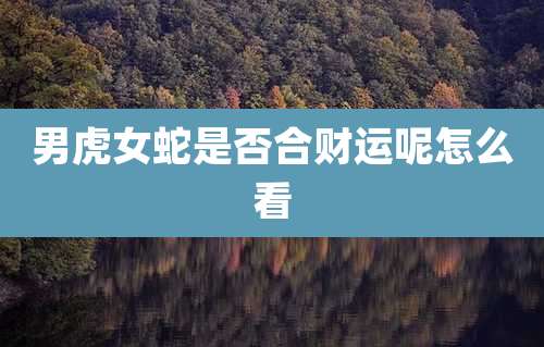 男虎女蛇是否合财运呢怎么看