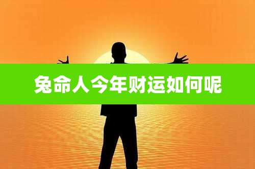 兔命人今年财运如何呢
