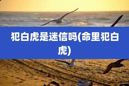 犯白虎是迷信吗(命里犯白虎)